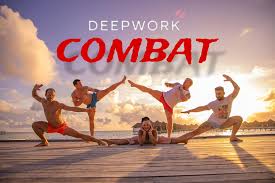 365 deepwork combat